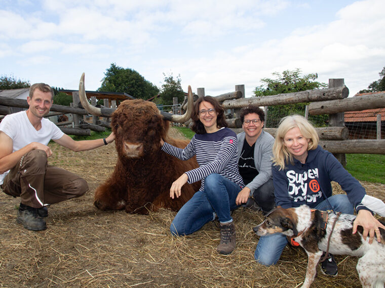 Stier, Hund und Menschen - Projektfoto vom Erdlingshof